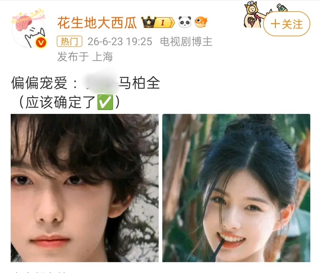 别碰偏偏宠爱。 