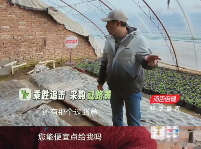 明星就不能砍价？张颂文上综艺买东西，和大妈砍价被观众吐槽穷酸。咱就是说，这砍价什