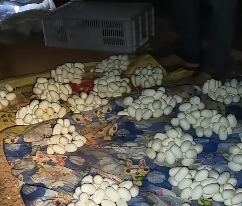吓哭了！6月12日，江西一小伙整整半年没有回过家，最近，他返回自己久无人居的住处