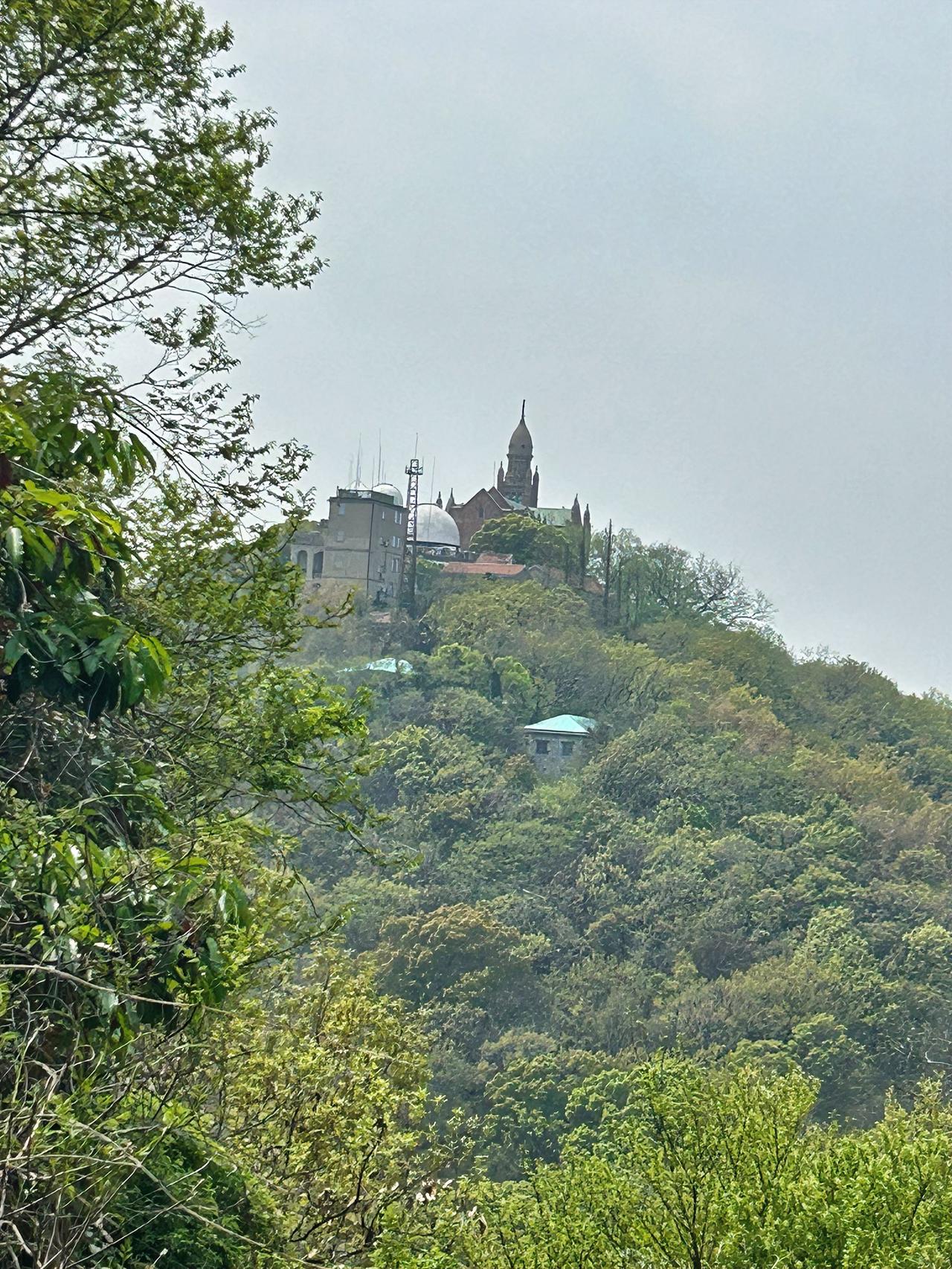 你最喜欢的一张公园景色照片这是几天前去松江佘山国家森林公园游玩时，拍下的一张照片