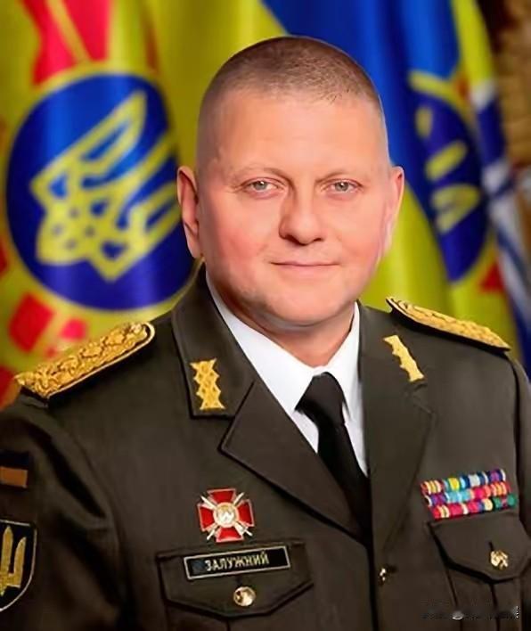 “北溪”背后的大水鱼，终于被揪出来了！德国查明，扎卢日内大将，竟然是“北溪”真正