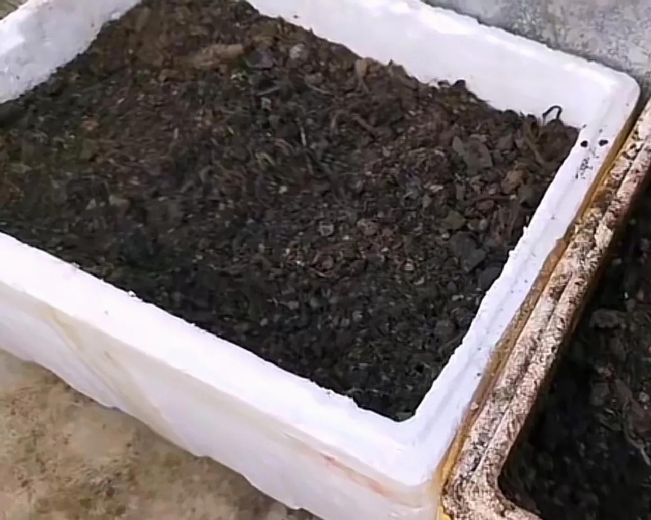 #化肥种出来的菜和粪肥种出来的菜，你会选择哪一种为什么# 对以这个问题，我的答复