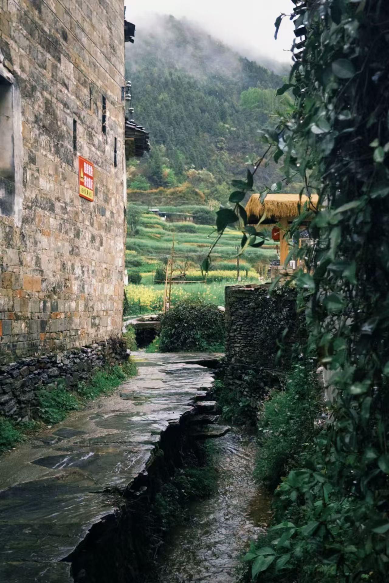 婺源逛村落继续，龙尾村出来到庆源古村，一路往山上开，感觉如果没有这条盘山公路，应