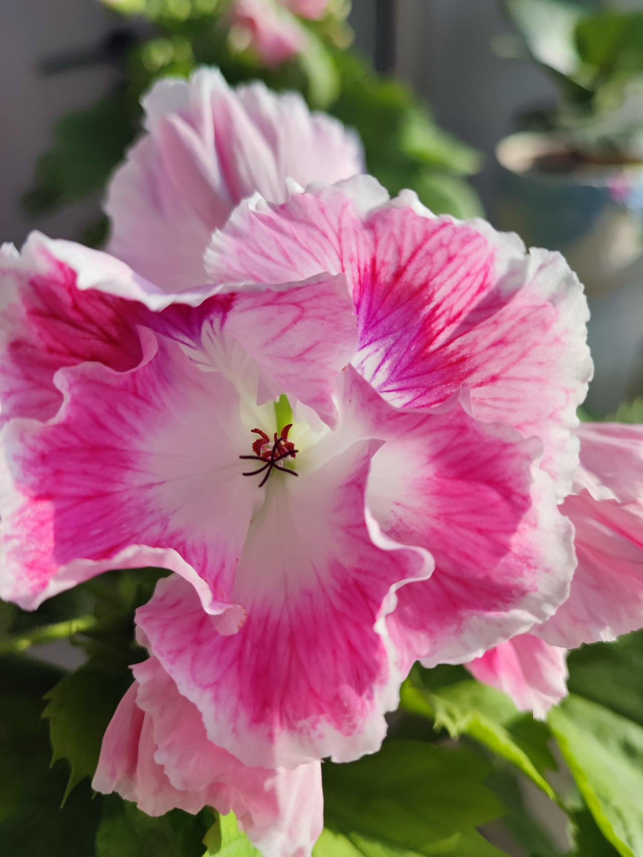 我媳妇没让你老公睡了！
尴尬。
遇到多年不见得老同学，
他原来和我闺蜜谈过恋爱，