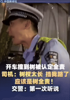 一司机开车撞到树，被认定为全责。而司机表示不服，司机说：树杈太长，挡路了，应该是