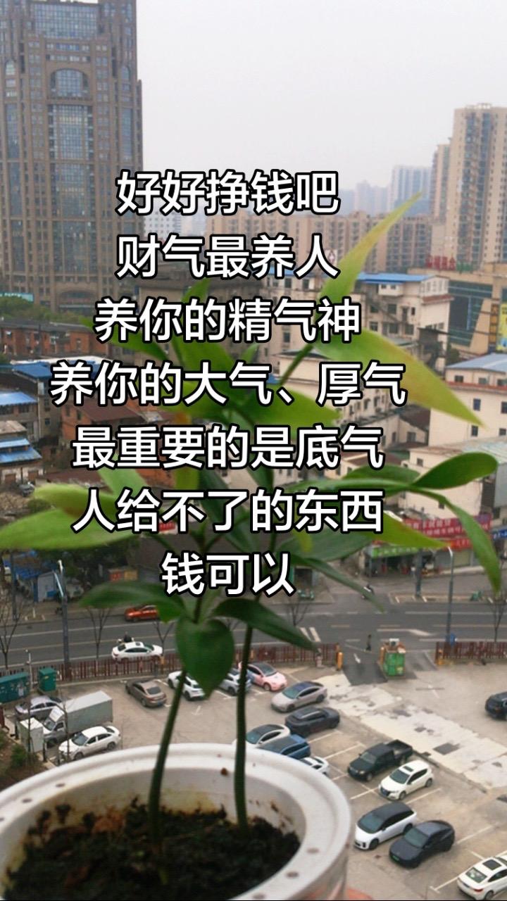 好好挣钱吧，财气最养人，养你的精气神，养你的大气、厚气，最重要的是底气...