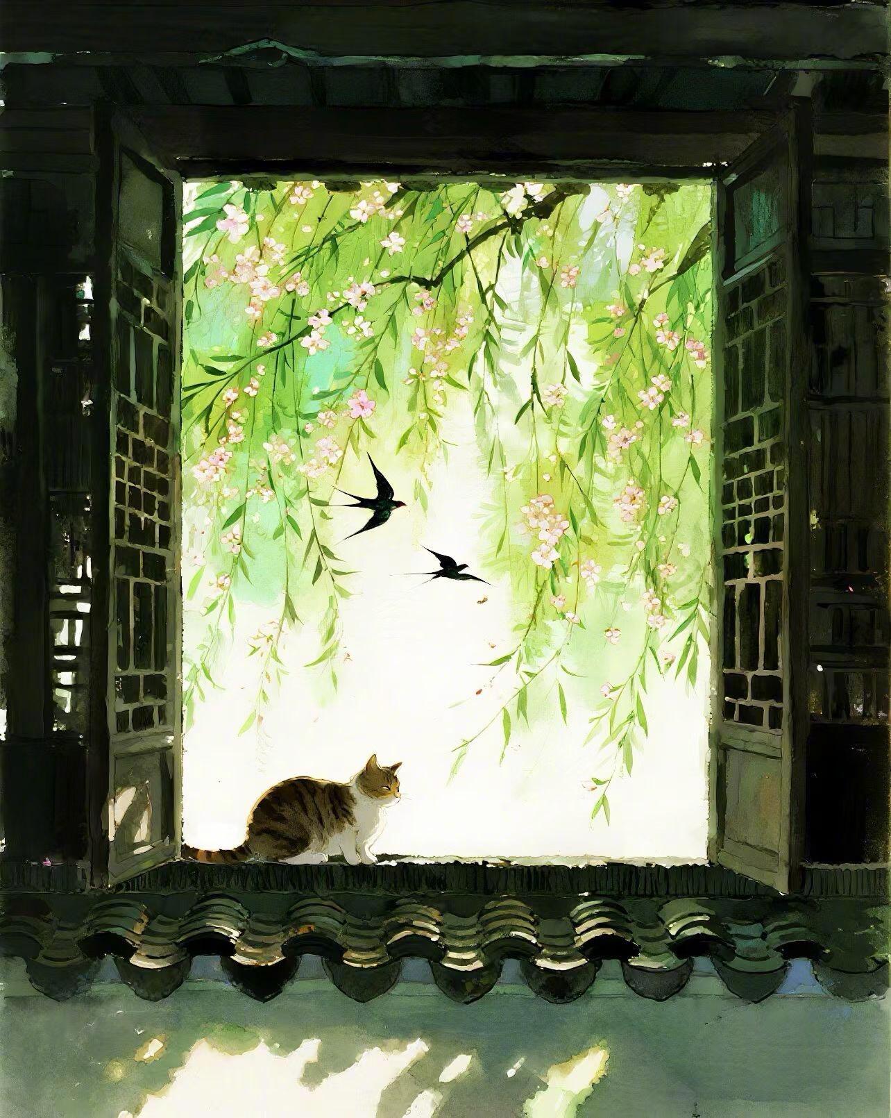 老宅里的猫咪 