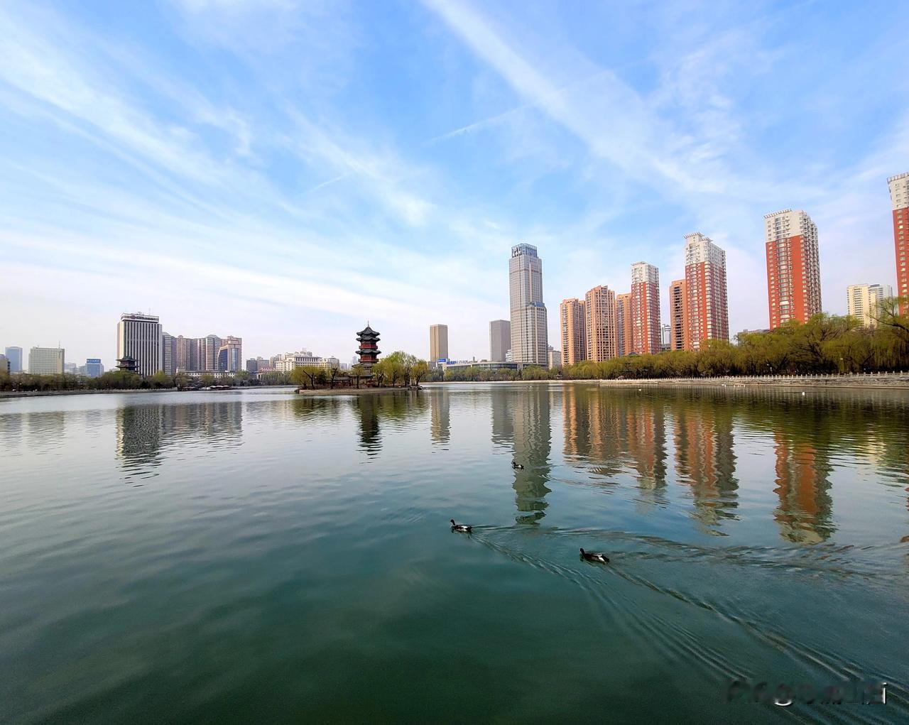 太原迎泽公园的鸭子🦆畅游，好一副春意盎然的美景！[祈祷][击掌]