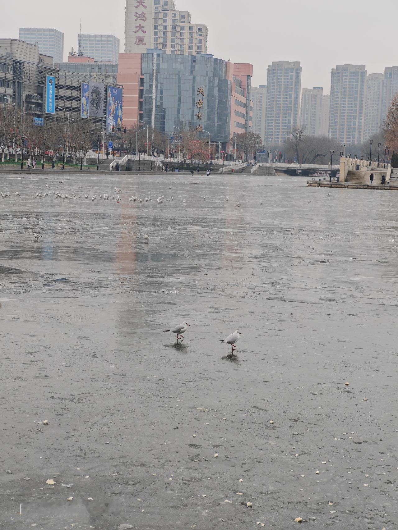 今年冬天的不同