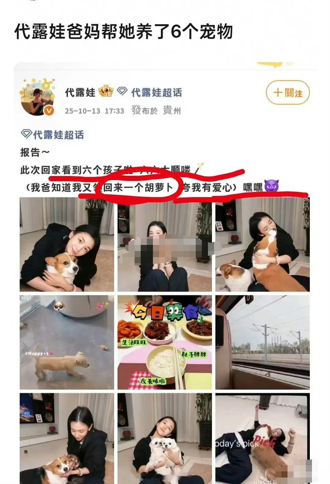 代露娃爸妈帮她养了6个宠物代露娃爸妈帮她养了六个宠物 网友考古发现代露娃爸妈帮她