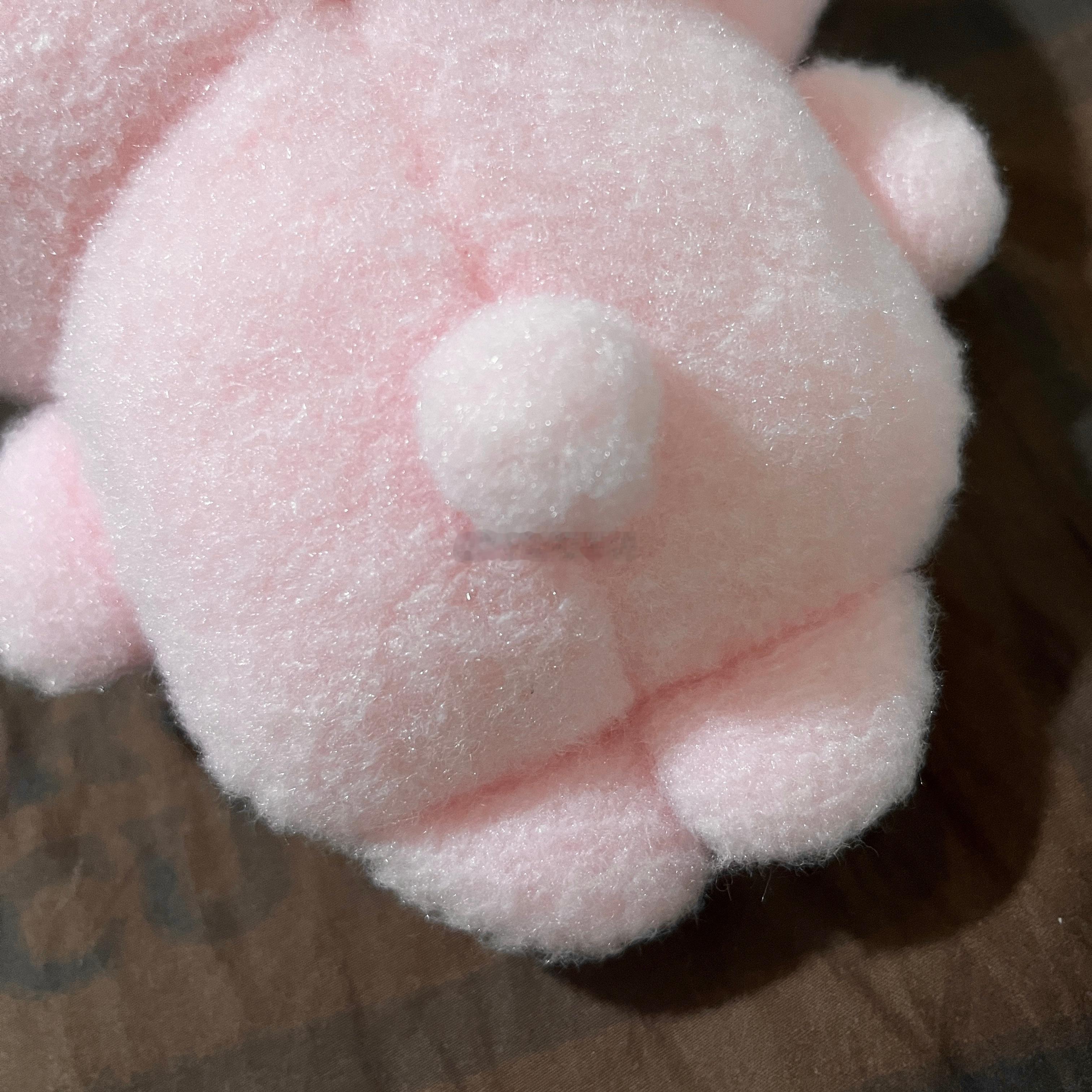 卡娜赫拉的小动物 孩子的脚异常肥胖乖巧……心生怜爱了😚圆咕隆咚的胖脑袋也非常好