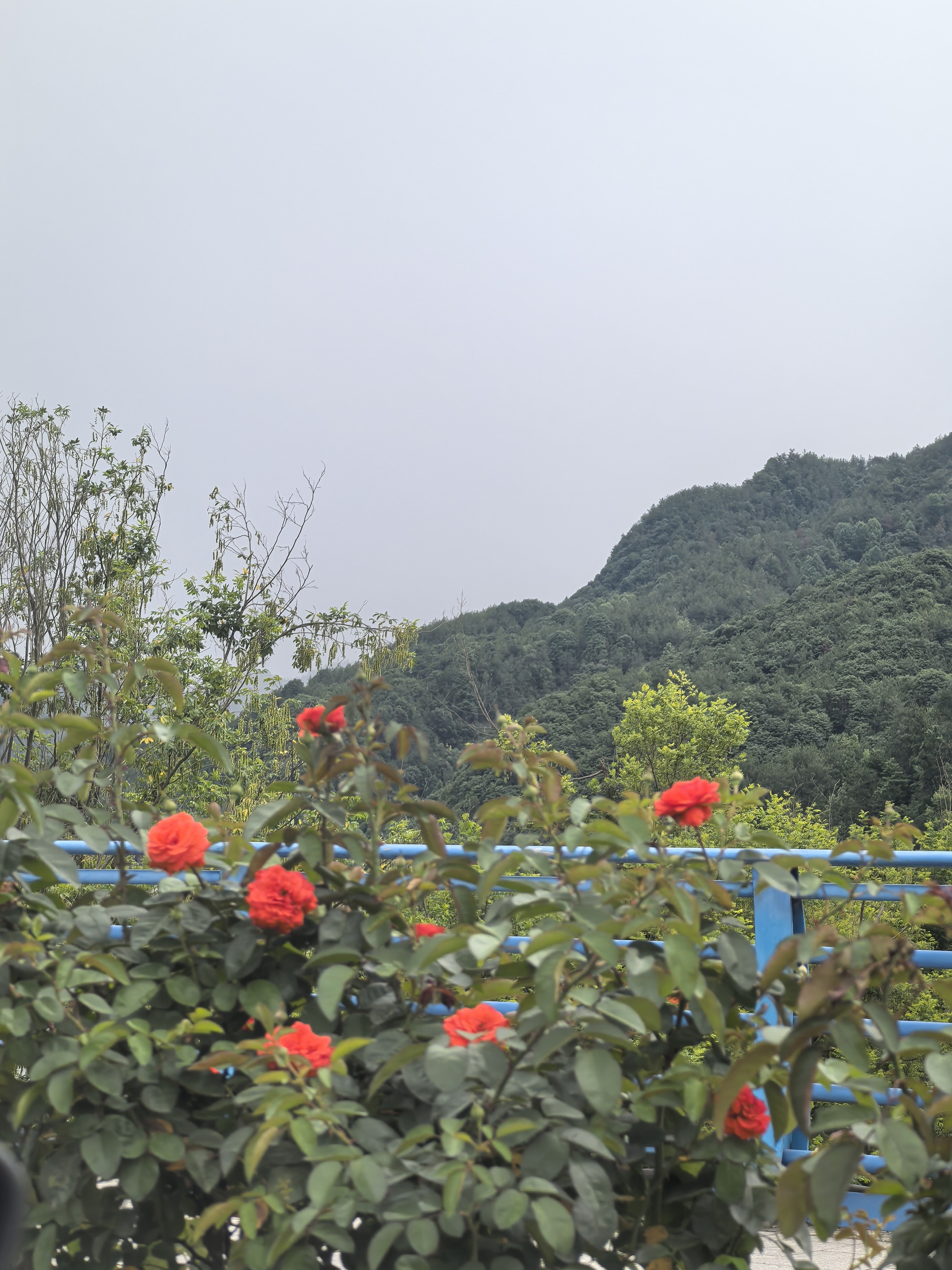 天气变幻莫测来不及穿雨衣 