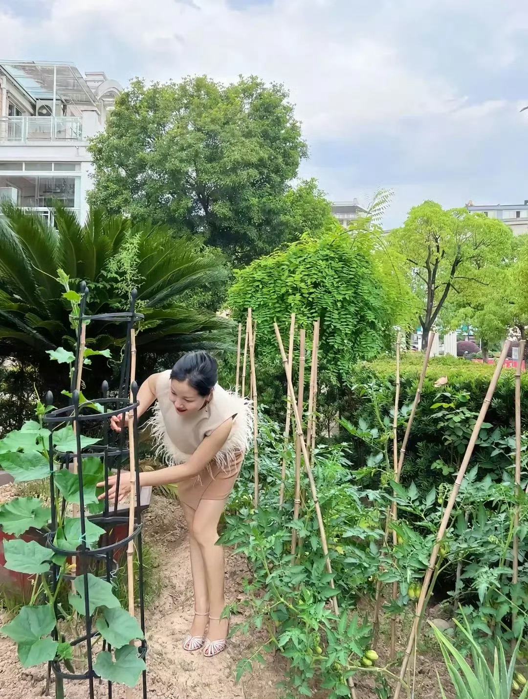 种菜是一种乐趣🌱自给自足的快乐只有种菜人才懂播种耕耘，静待生长收获一份踏实与安