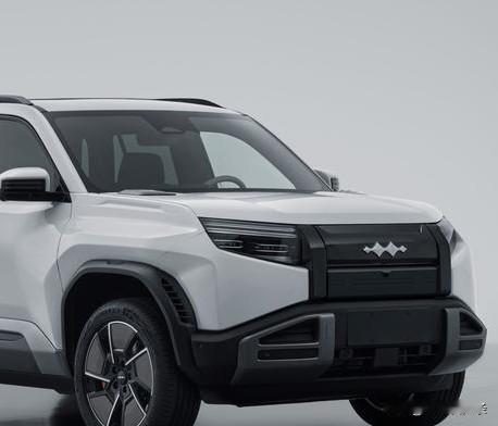 全新2.0T混动系统+双电机，综合功率飙到610kW，零百3.9秒，推背感直接把