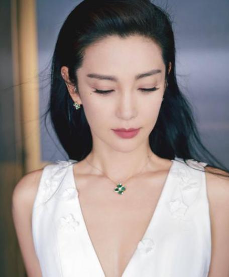 2009年，李冰冰开出12万月薪招保姆。其中一位保姆应聘，将菜里里外外洗了5、6