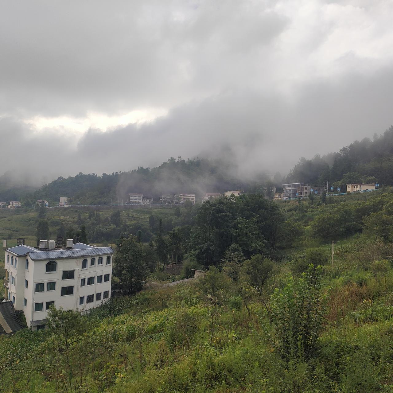 夏日生活打卡季云雾飘往九坝。下了几天雨，难得上午没有雨了，雾气飘过山头，来到九坝