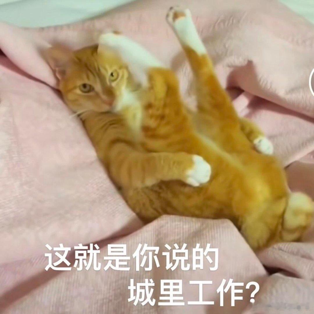 雪饼猴去象牙山给长春长脸了雪饼猴从长春火到象牙山了雪饼猴打卡象牙山舞台，软萌气质