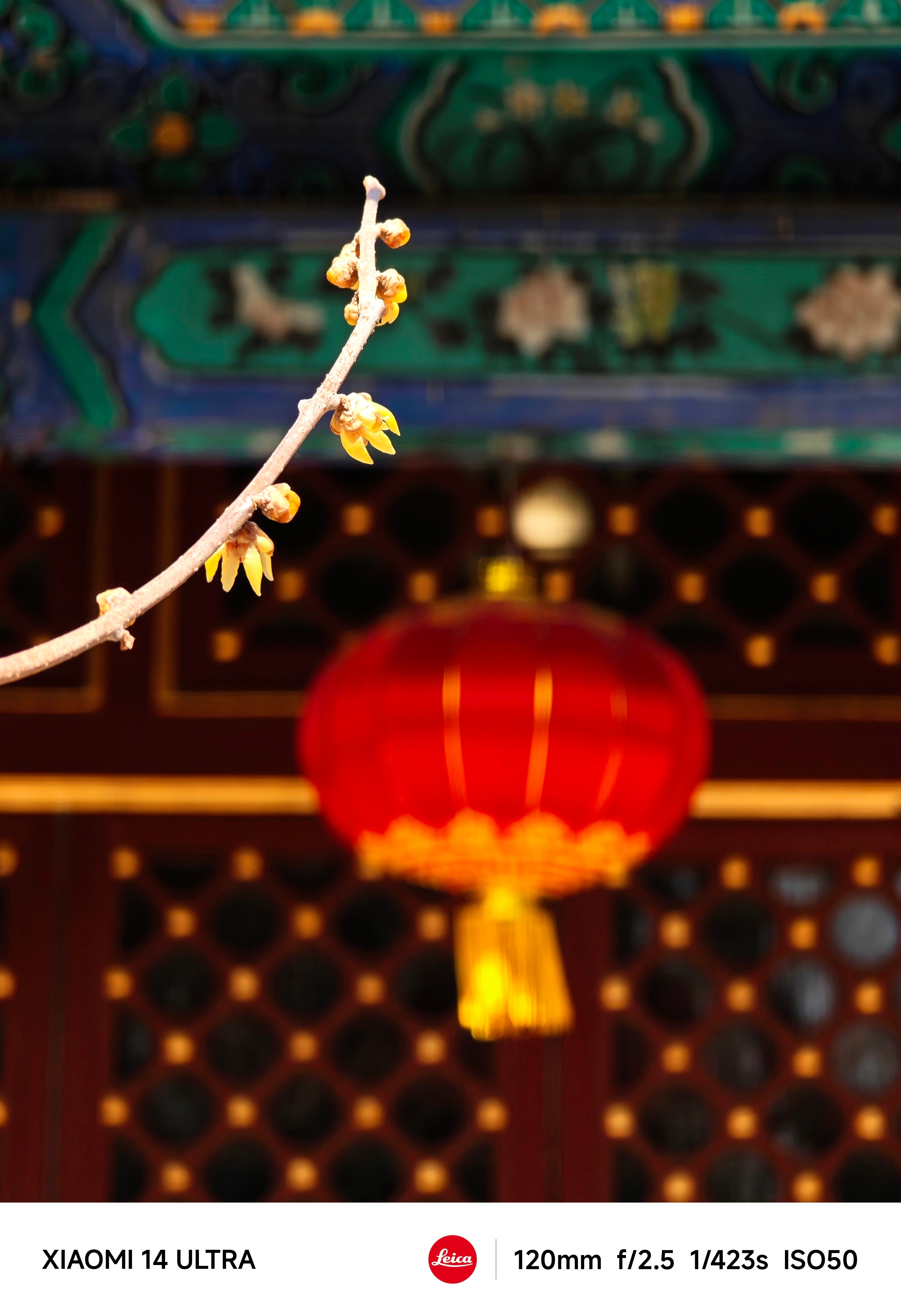 #每天早起打卡#早上好 ​​​