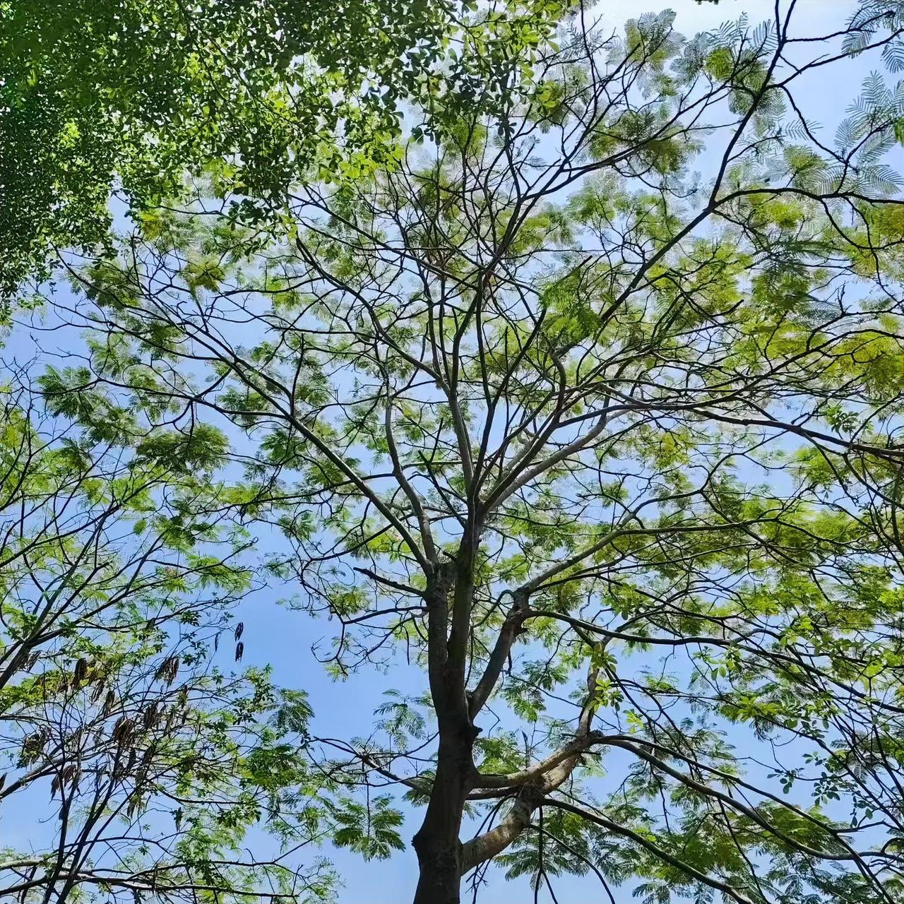 日子看似平淡如水，每天重复着相似的脚步，没有轰轰烈烈的惊喜，也看不到立竿见影的回