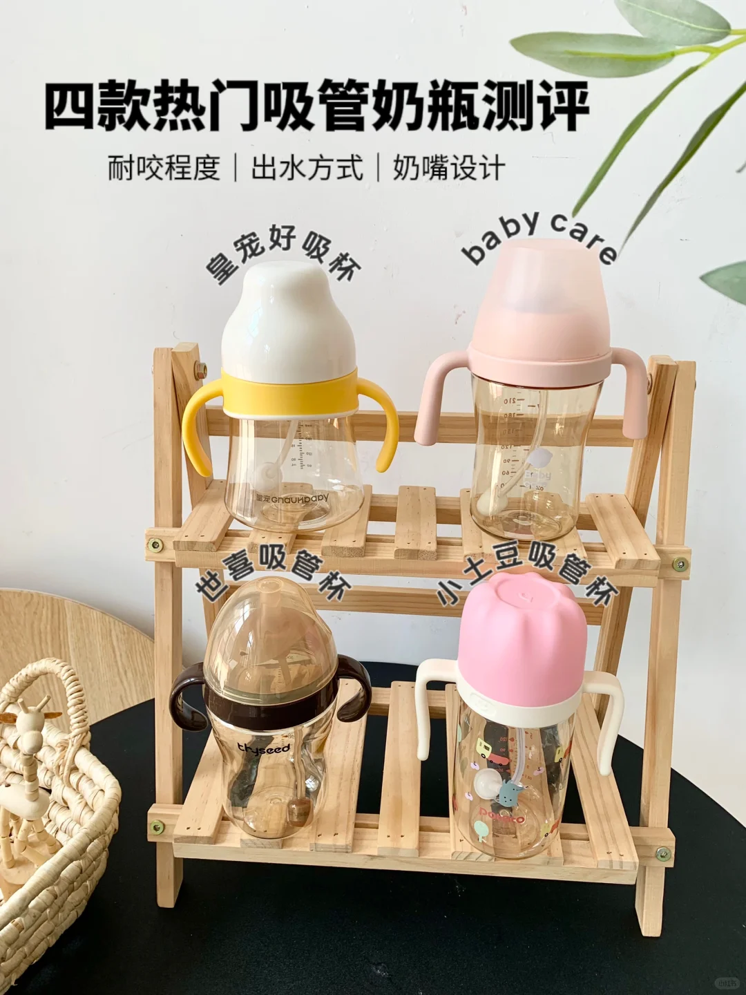 又浪费几十块，谁才是梦中情杯？