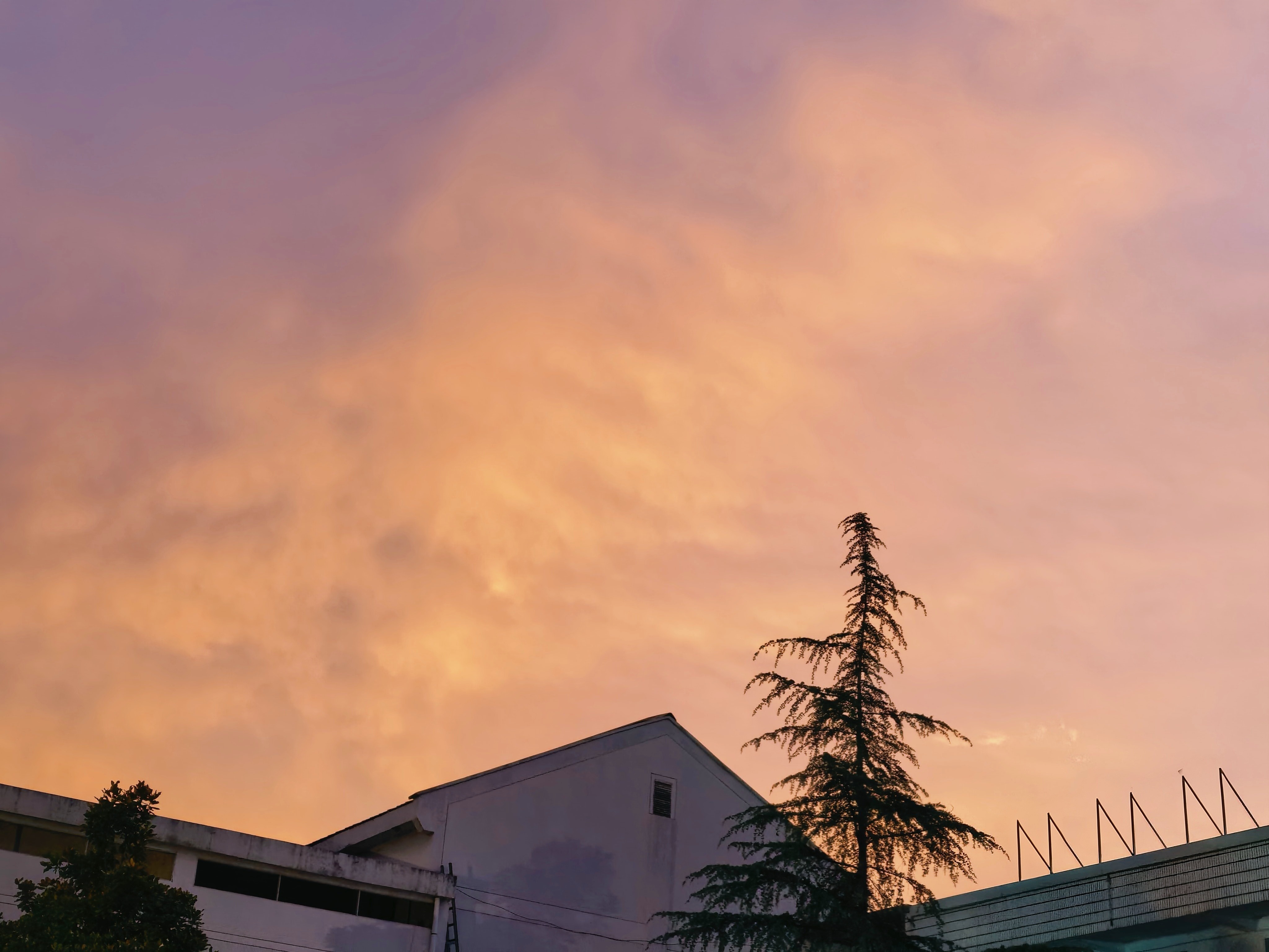 大雨收尾，晚霞接档🌇被雨水洗过的晚霞，比任何滤镜都好看，粉橙交织的光裹着城市，