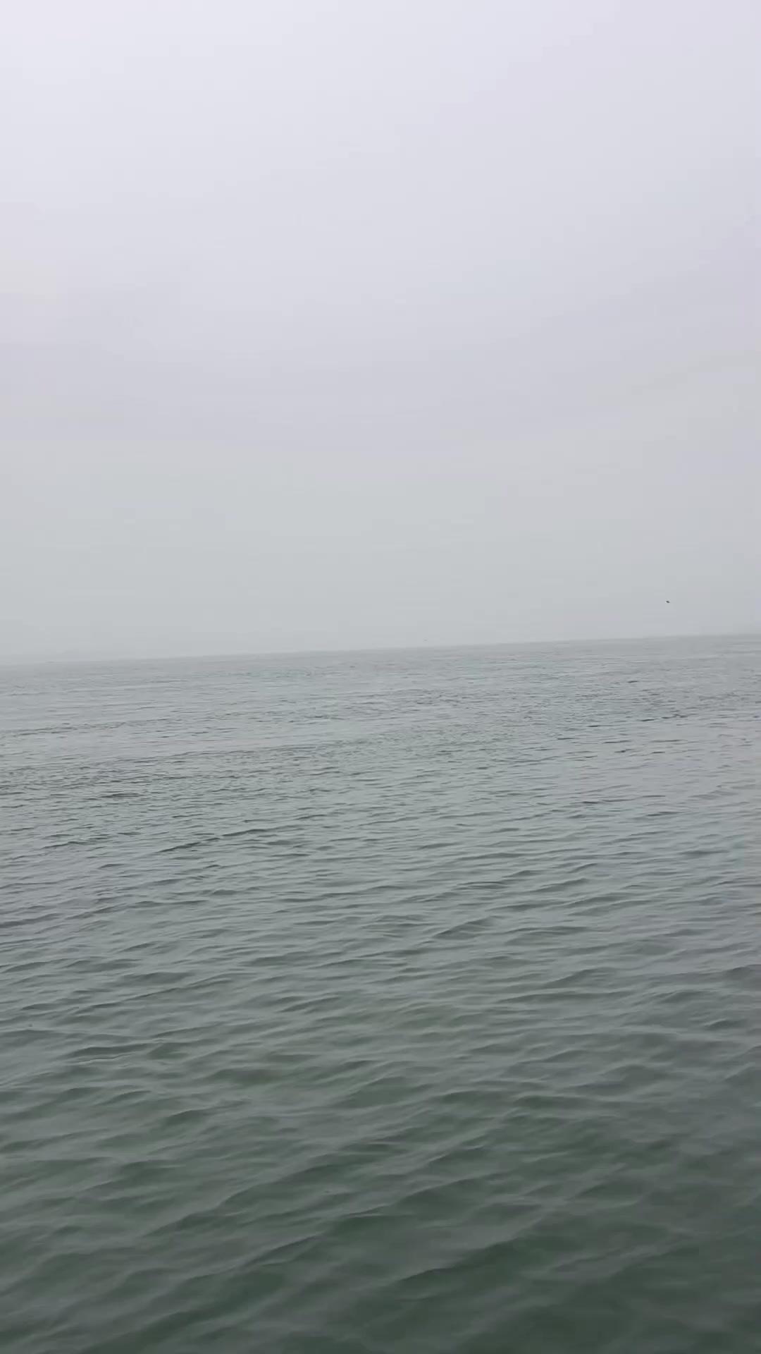 🌊在湖北枝江的客船上看长江，真的像临着大海一样震撼！两岸青山连绵，江面宽阔得望