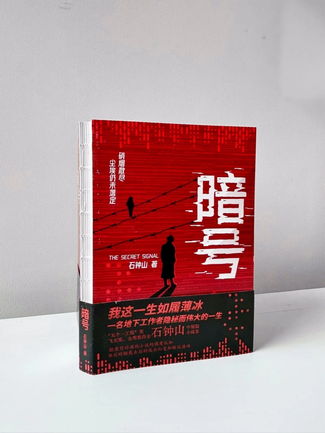 熬夜看完！彻底颠覆我对谍战小说的固有认知