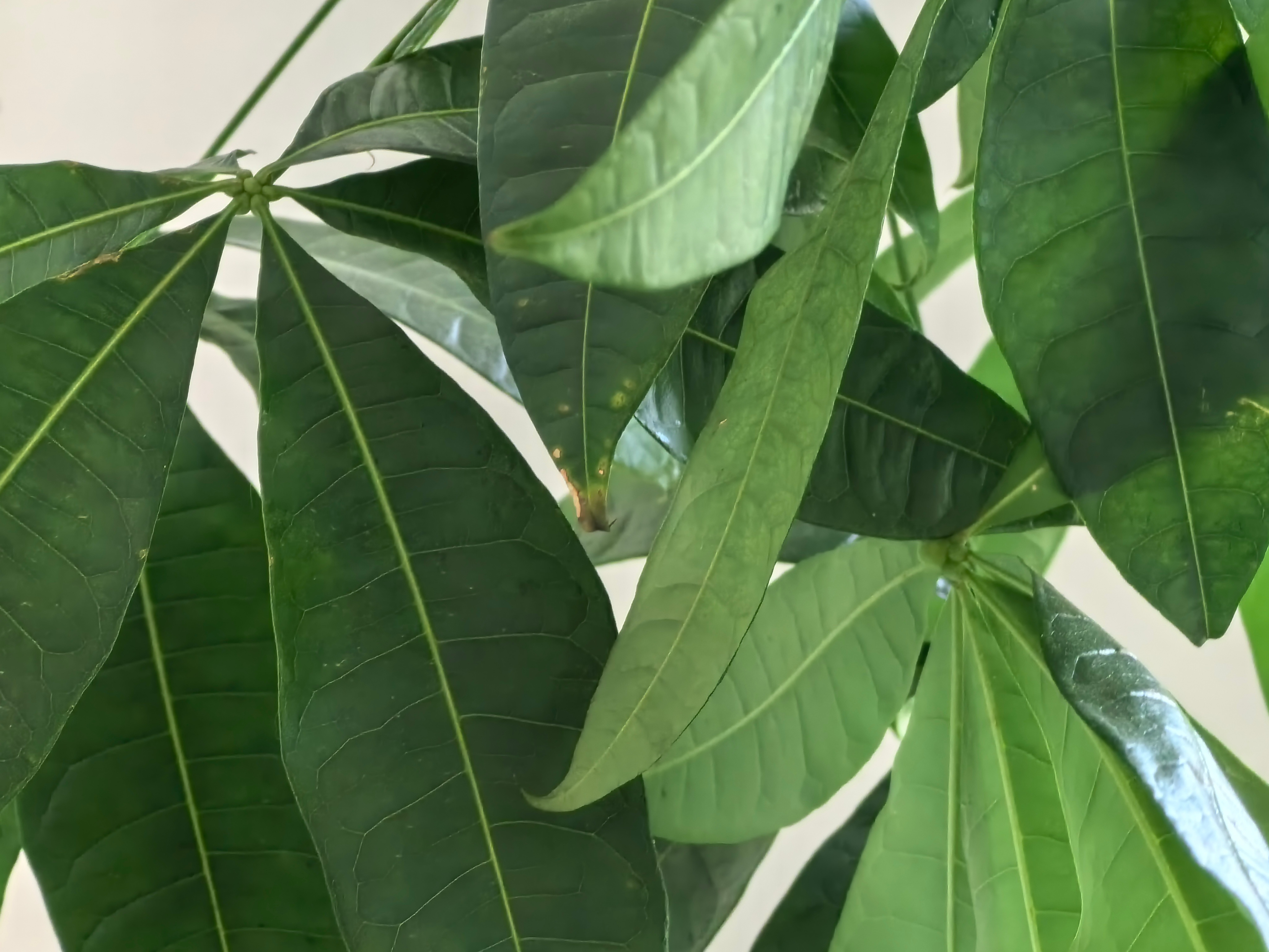 #重回上上周五#不想回到上上周五，太难了！ ​​​