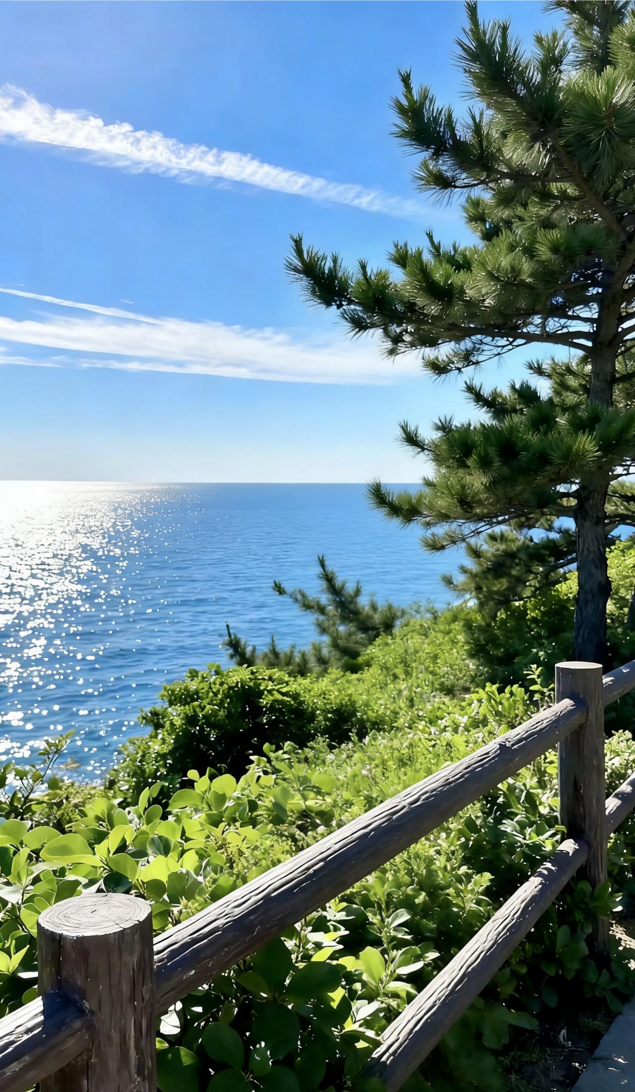 今日分享随手拍照片