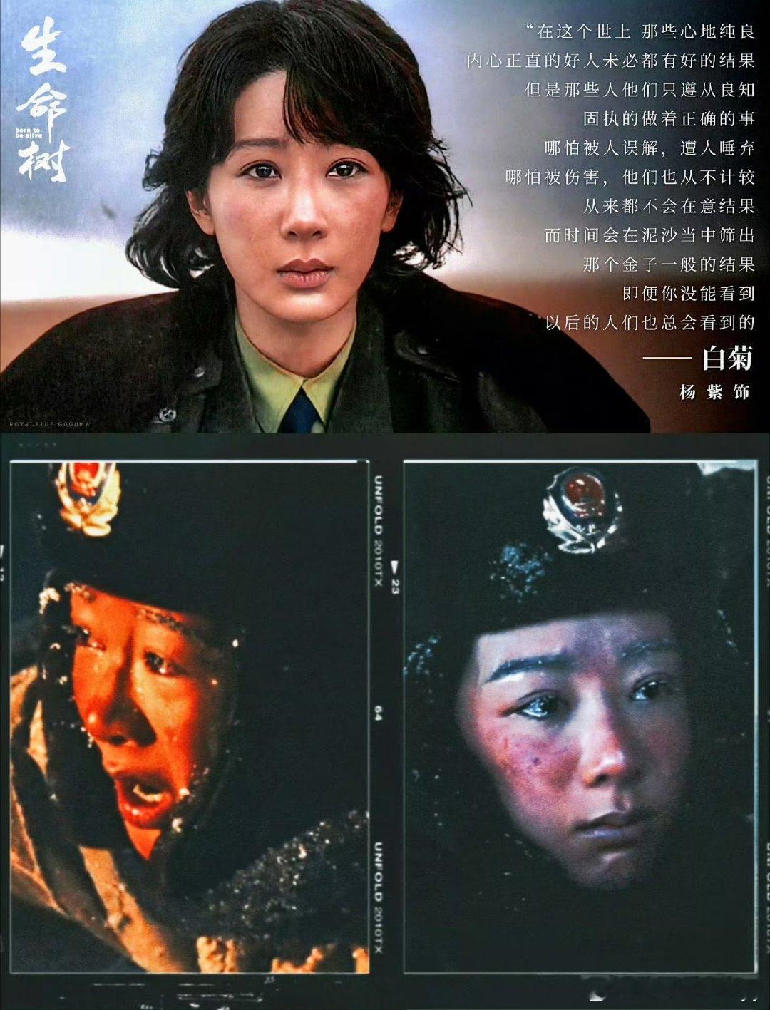 杨紫白玉兰入围名单发布恭喜电视剧《生命树》一举斩获八项重磅提名，涵盖最佳电视剧、