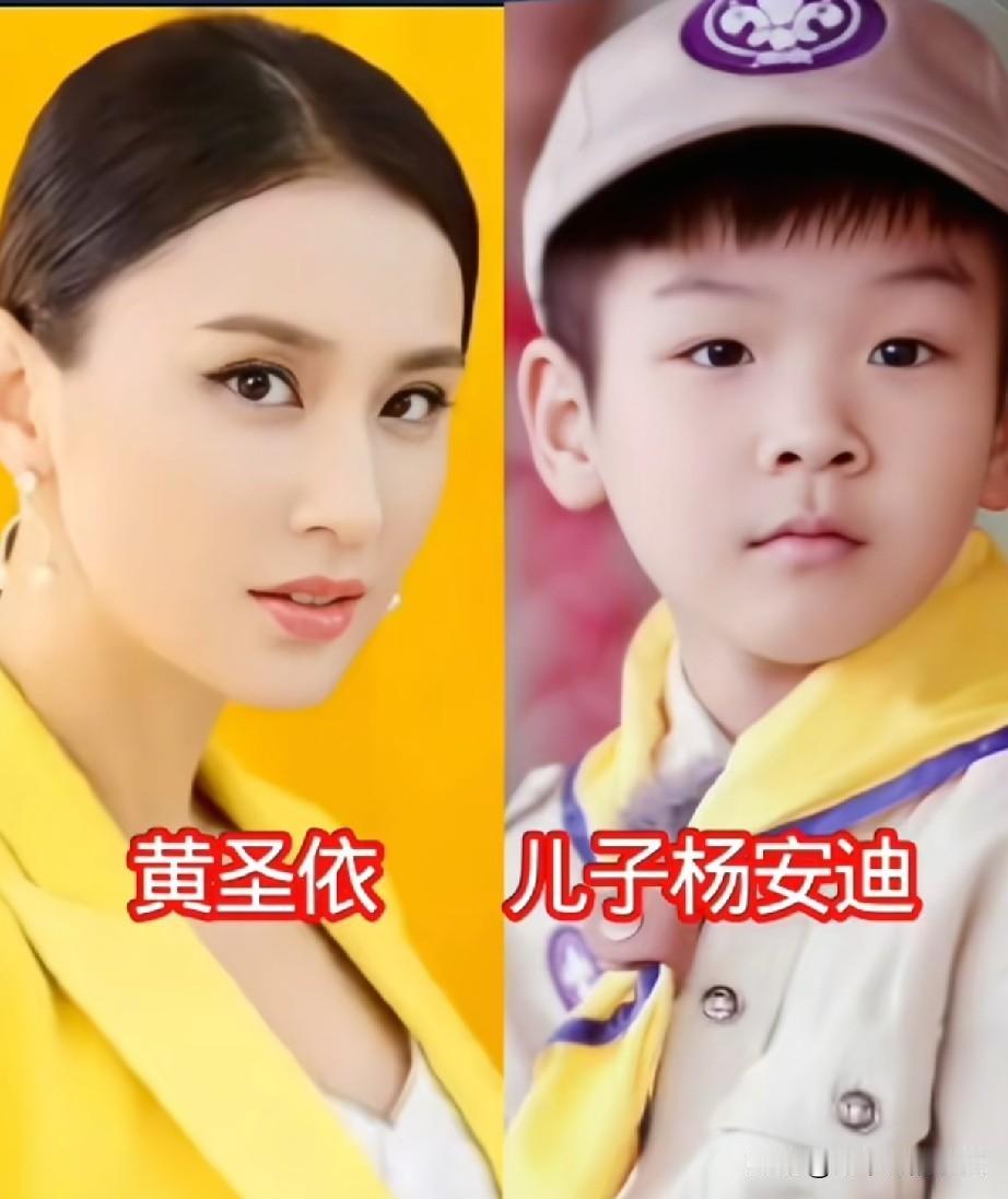 娱乐圈高颜值母子，完美复刻妈妈颜值，你最喜欢谁家
黄圣依&杨安迪、王艳&球球、霍