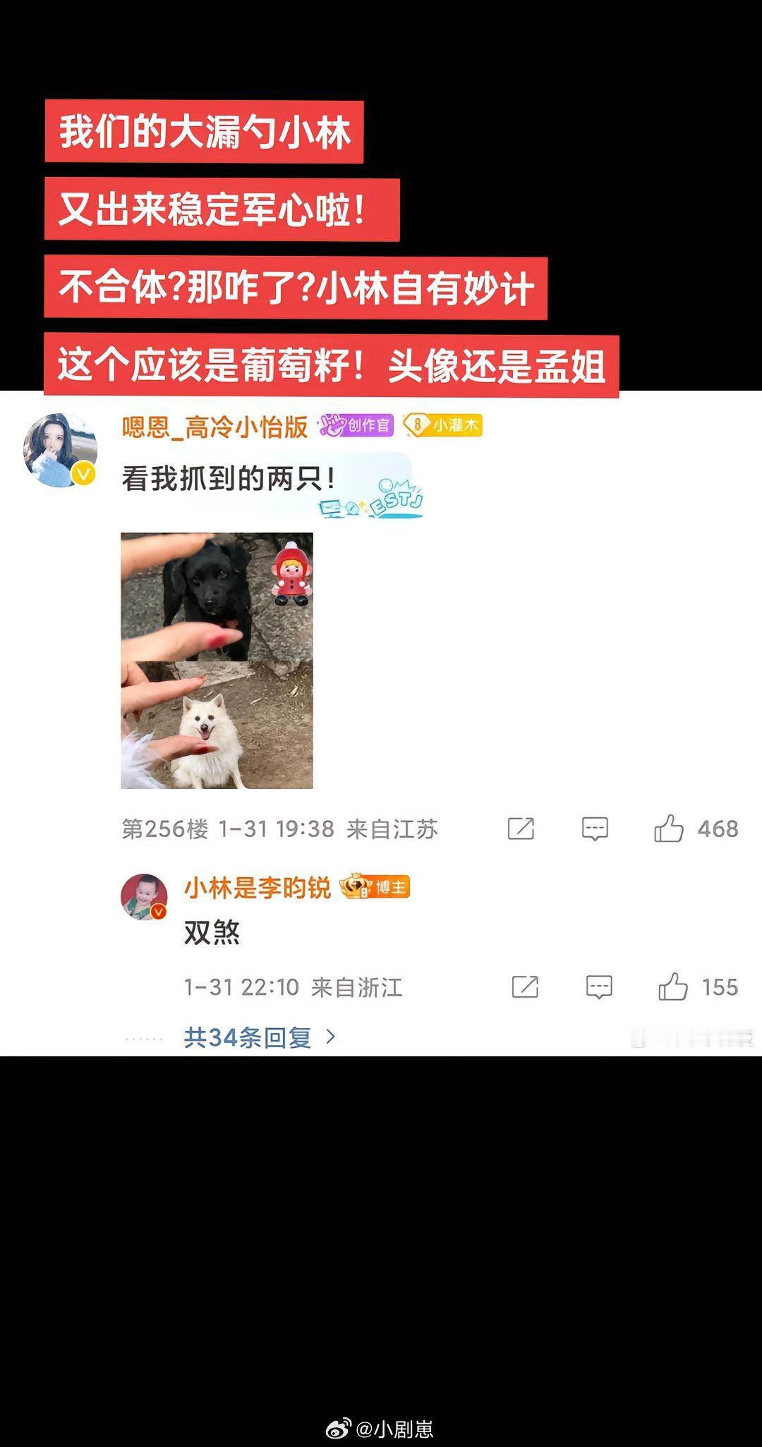 昀牵孟绕[超话] 哈哈哈哈磕鼠我了  还一个葡萄籽被翻牌的，那个说换个人拍照片那