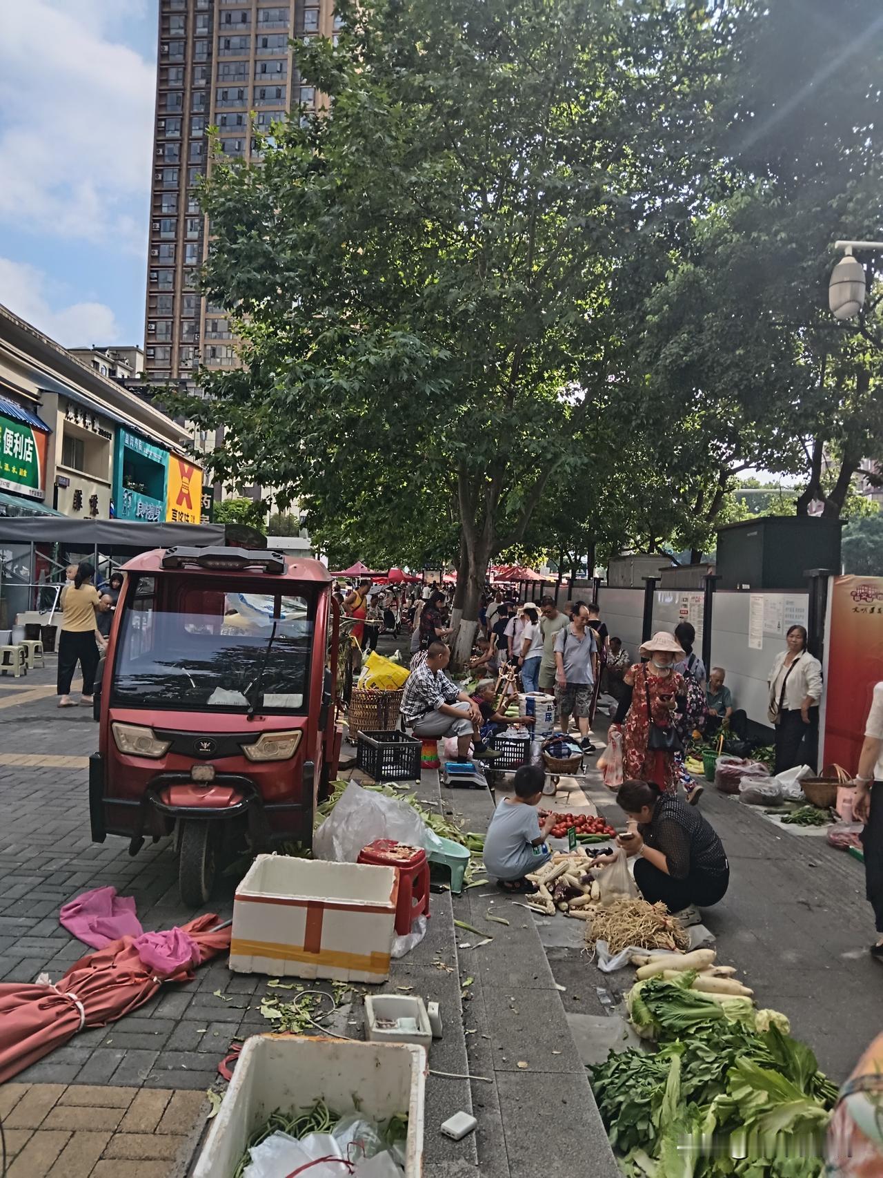 这个在树荫下每周一赶的跳蚤市场，这里藏着我们城市最鲜活的生活日常。三轮车当作小摊