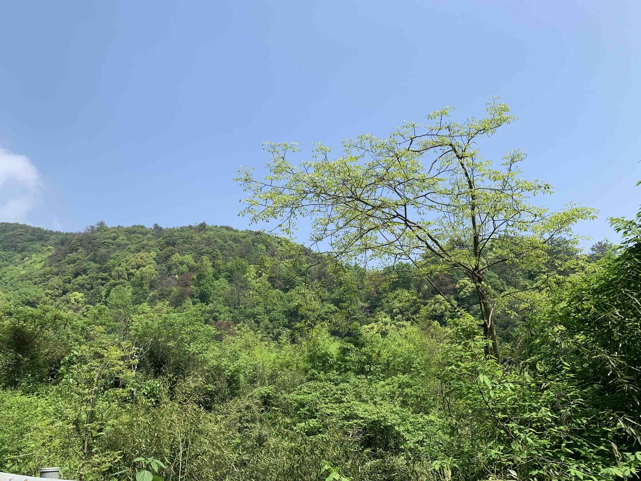 最近 “半夜醒来不要看时间” 冲上热搜。

睡眠科专家解释，人的睡眠靠褪黑素支配