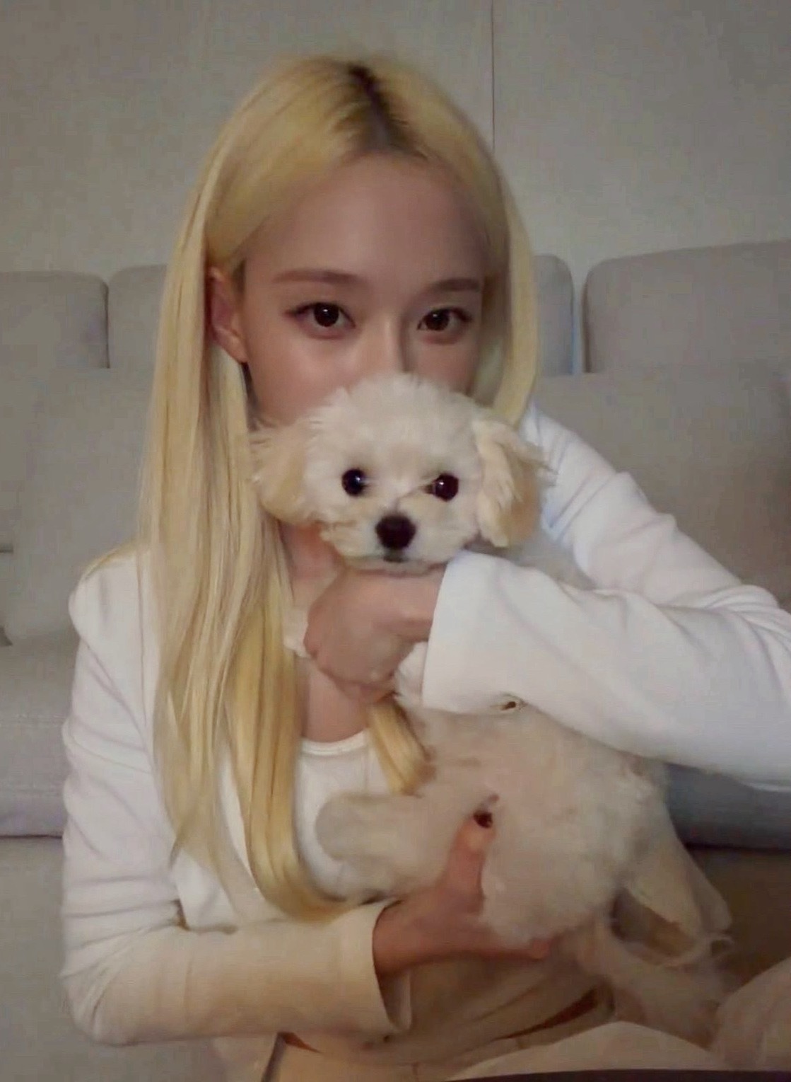 🐶🐶 ​​​