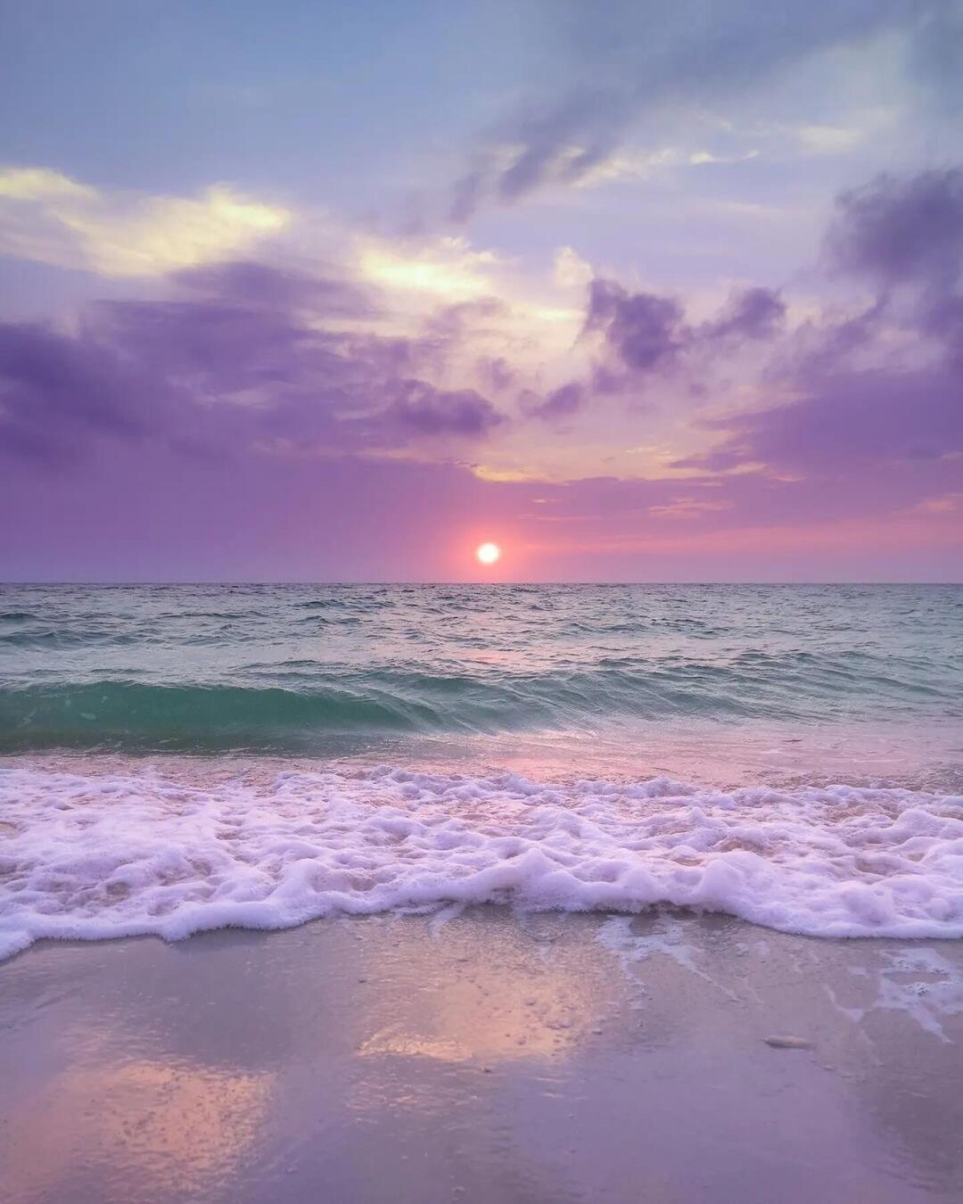 🌊 𓈒𓂂 🐚 ⭒˚ 💗𓇼 𓂂𓈒𓏸 