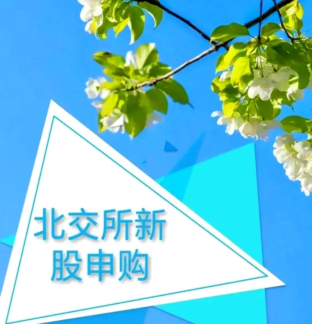 15倍市盈率被嫌弃，大鹏连夜砍融资。
网友“新股专业户Steven”一句话：明儿
