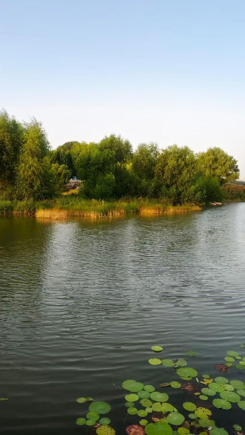 自从来到头条，
沿途的风景成了我的必拍。

风景如画，
分享拍下的沿途美景。