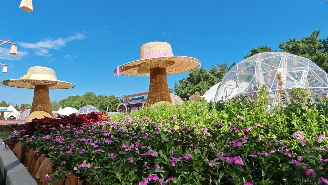 在开封的景区里，居然藏着一片现实版的“莫奈花园”。如同穿越到了二次元世界，浪漫安