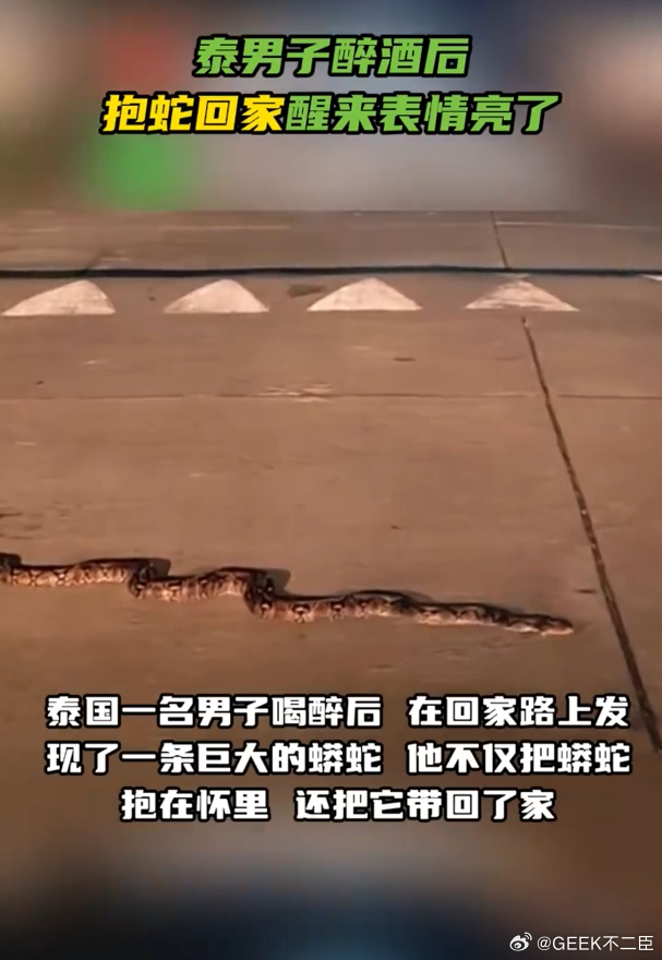 泰国男子醉酒后抱蛇回家醒来懵了男子饮酒过量神志不清，竟把野外大蛇抱回家中相伴过夜