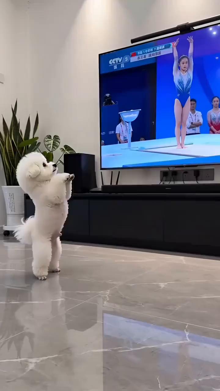 哈哈哈哈哈哈。