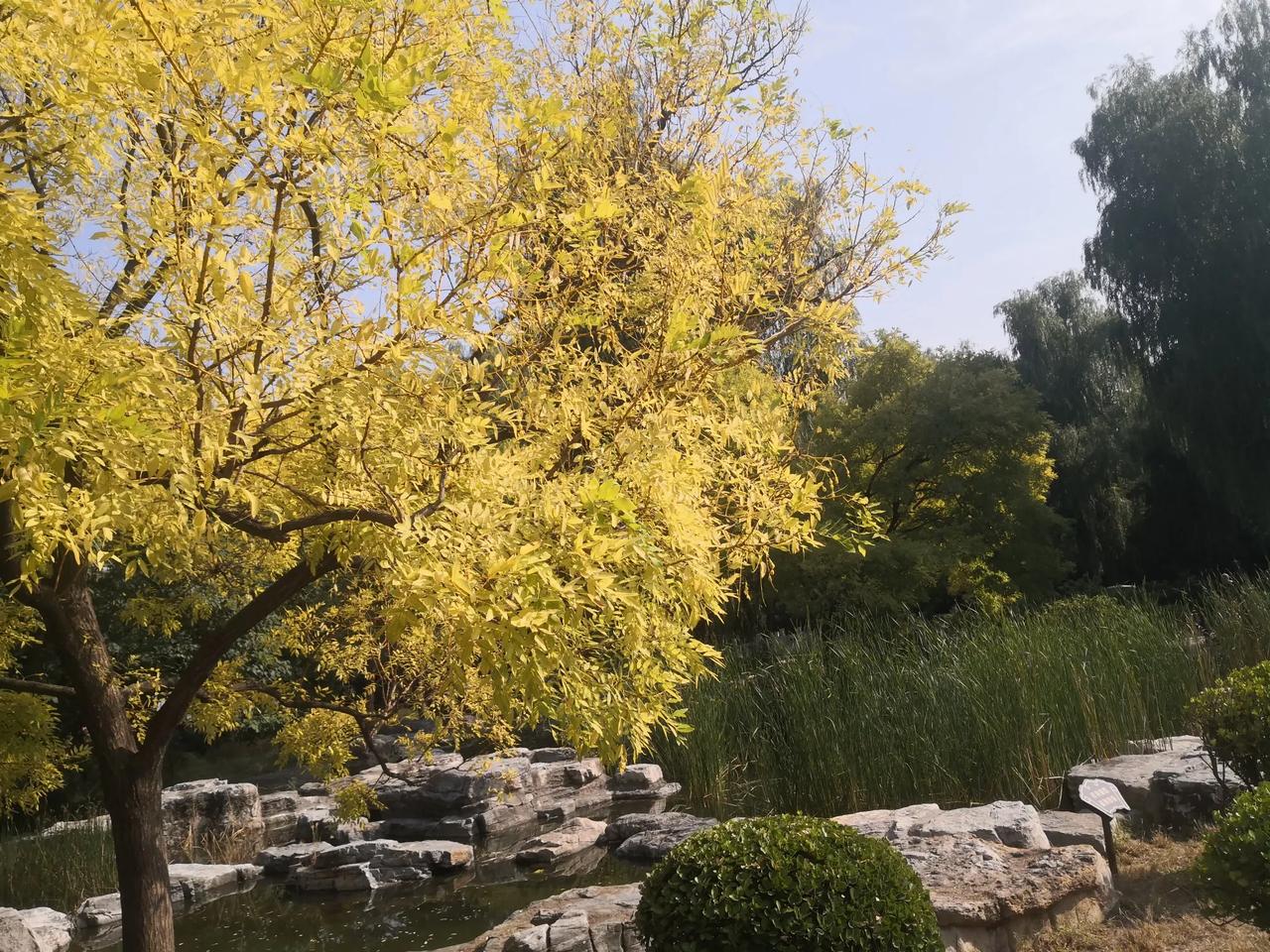 #随手拍一张秋天的美景#