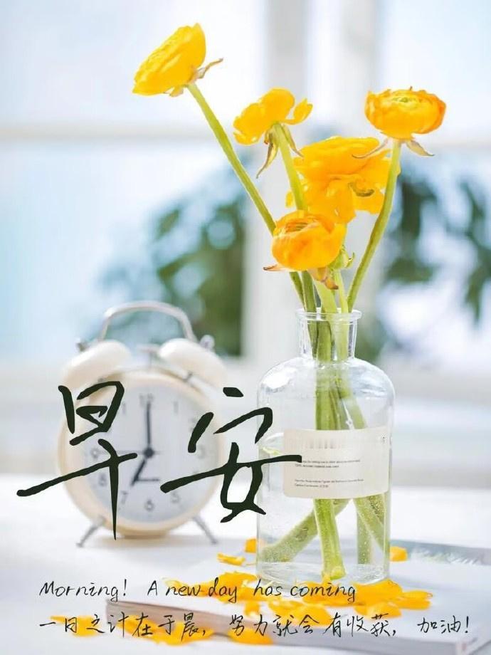 早安 朋友们！近期黄金一天就是一个大单边，不是大涨就是大跌昨天震荡上行一天，即便