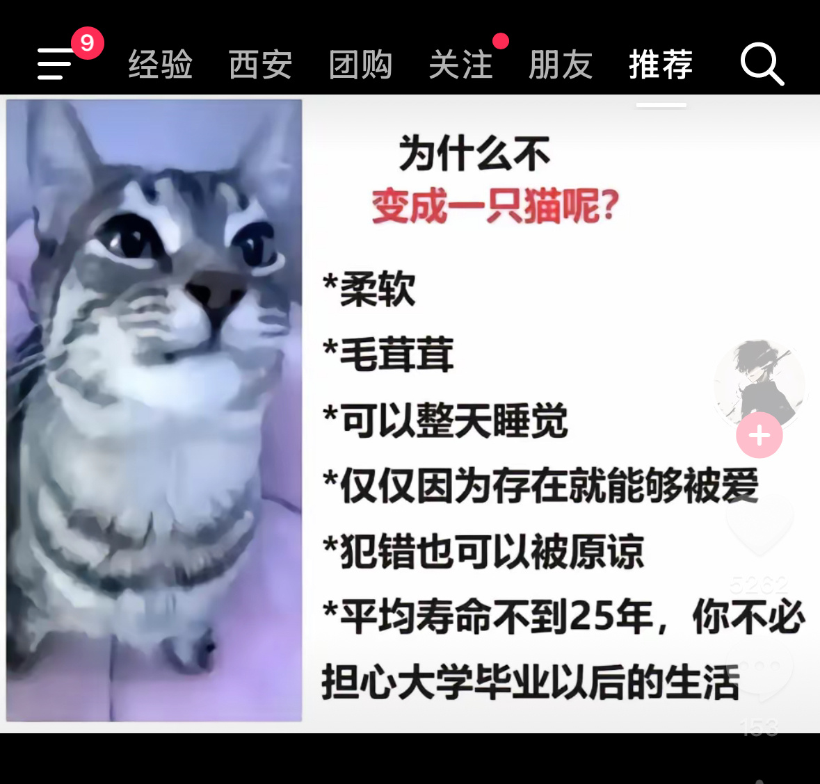 就算变成猫我也希望主人是富翁 ​​​