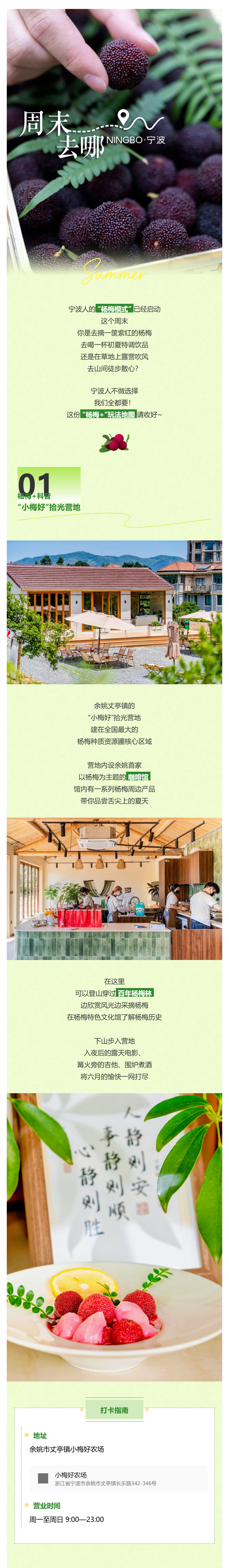 宁波人摘杨梅已经NextLevel了宁波人的 “杨梅模式” 已经启动🔥，这个周