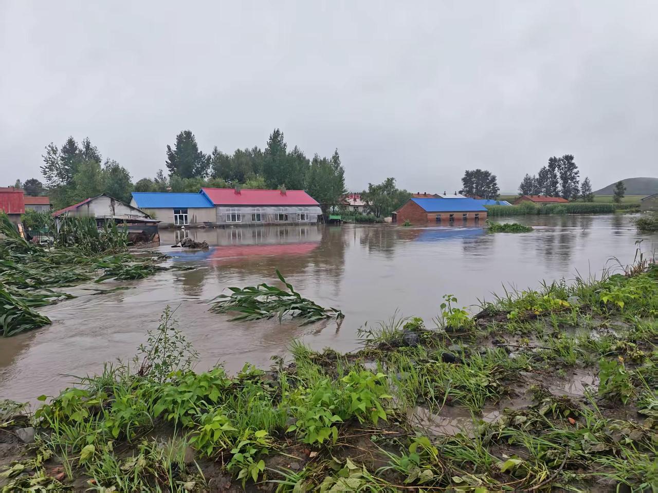 刚说完七台河风水宝地，