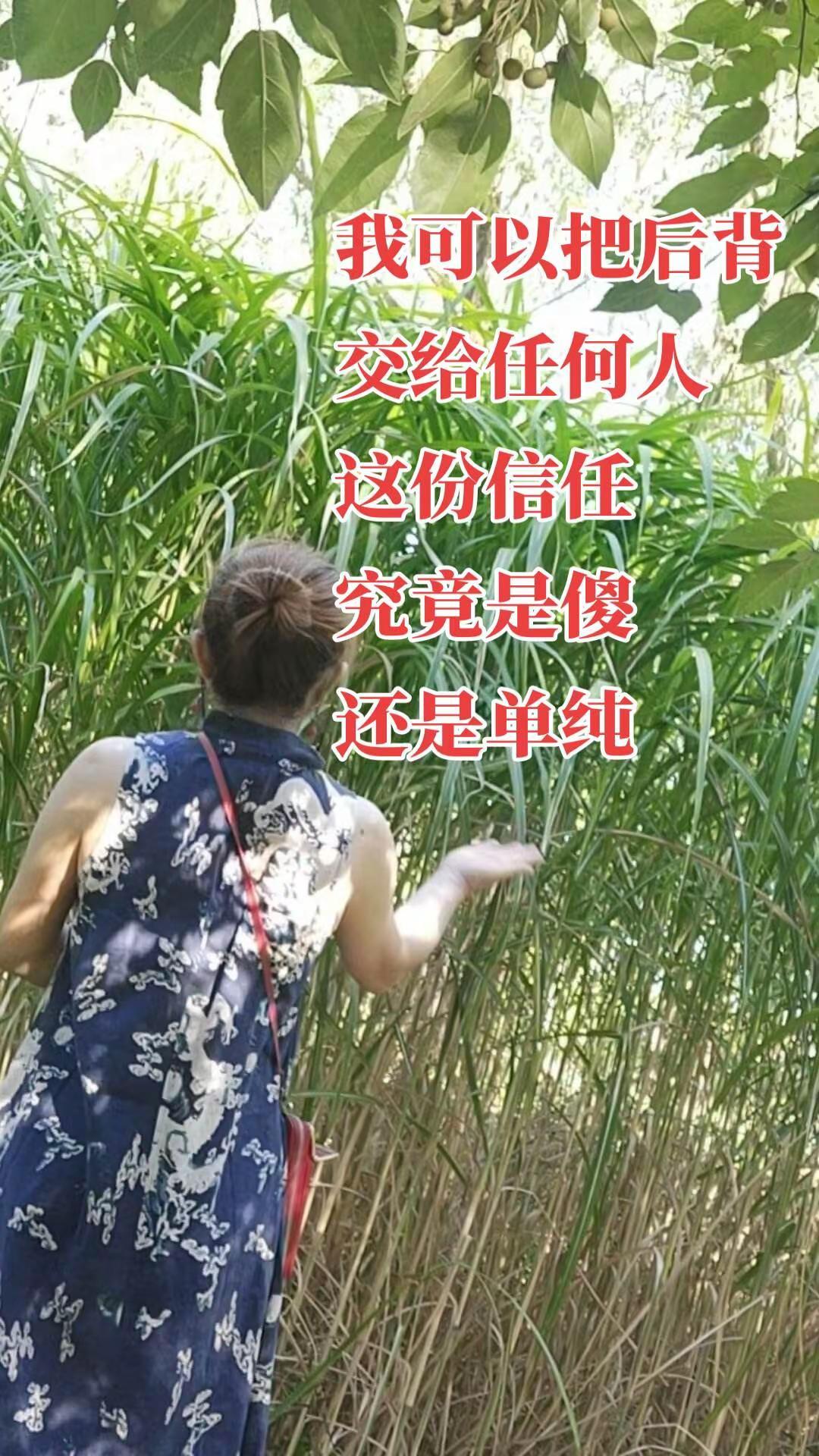东方古典美