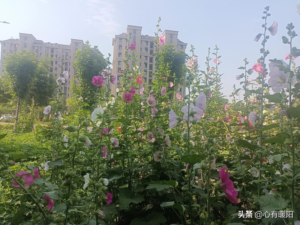 **1. 倾听与共情。** 她抱怨工作琐事时，他不是急着给建议，而是先问“你现在
