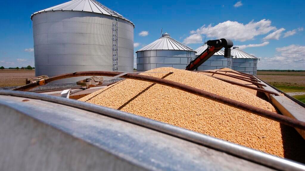 有报道称中国在本收获季首次采购美国大豆，此前数月曾持续从南美进口。外交部发言人回