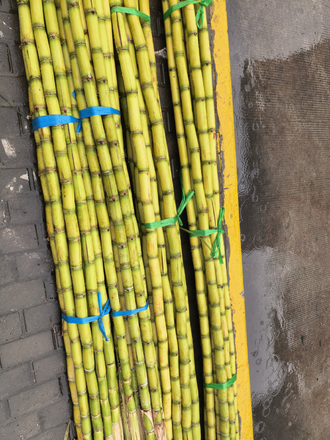 买两根顶级甘蔗吃吃